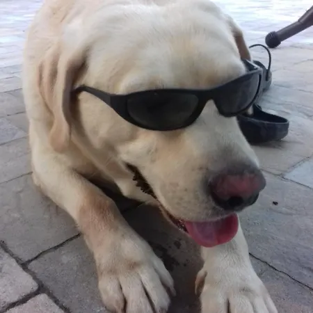 Casa Di Fiocco Apartman *